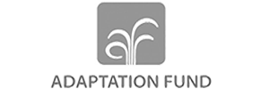 Adaptation fund