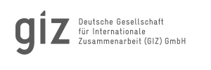 Deutsche Gesellschaft für Internationale Zusammenarbeit (GIZ)