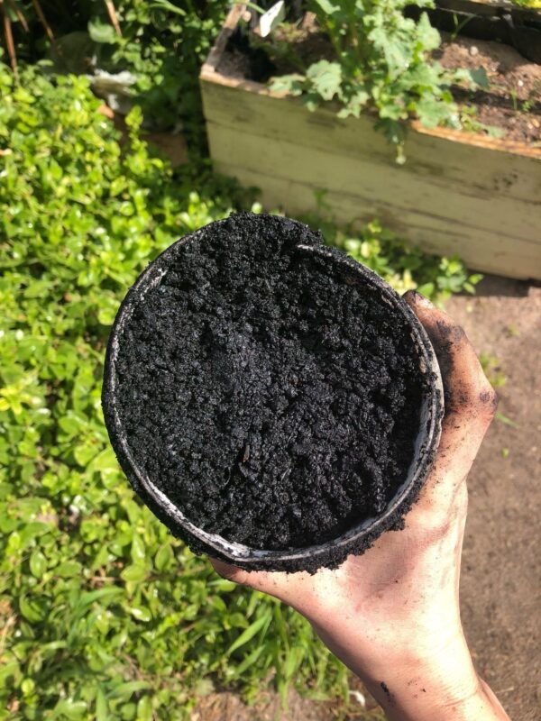 The biochar was produced in the Eastern Cape and made from Black Wattle trees, an invasive species.